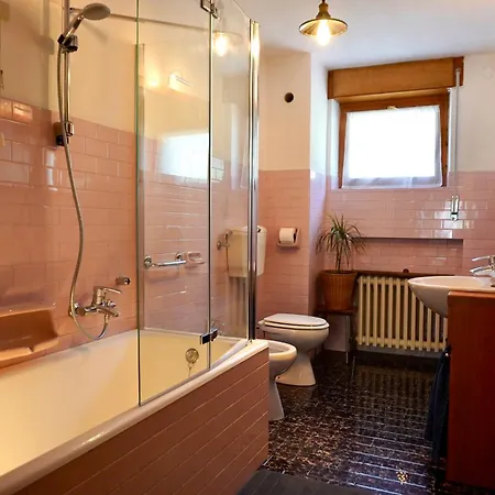 Danoi Dolomiti Apartament
